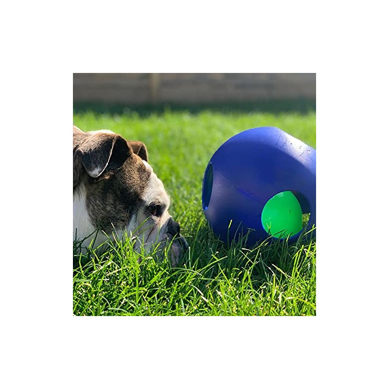 Jolly Pets - Pelota de Juguete, Azul, 8 Pulgadas