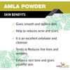 Forest Herbs 100% Natural Organic Amla Powder For Hair Growth