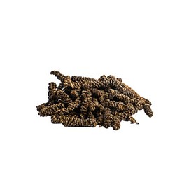Long Pepper Whole – Rod Pepper Black – Long Pepper – Bengali Pepper – 30 g