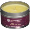 rareEARTH Passion Travel Tin Candle