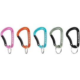 Mammut Mammut Mini Carabiner Classic Keylock S Size 6 cm Assorted