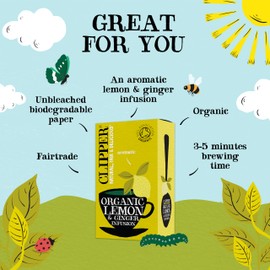 (3 PACK) - Clipper - Organic Lemon & Ginger | 20 Bag | 3 PACK BUNDLE