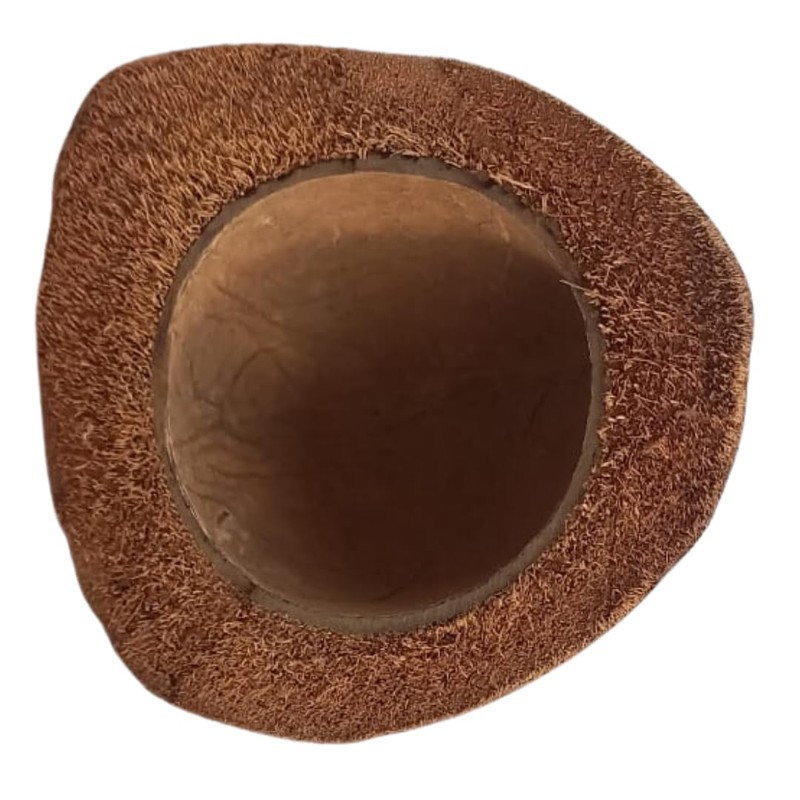 Natunae - Natural Coconut Bowl for Reptiles, Terrarium Accessory, Food