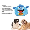 Dog Squeaky Ball Toy 900mAh Electric Interactive Bouncing Ball Soft