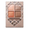 Visee Riche BR-4 Eye Palette, Panoramic Design, Orange Brown, 0.2