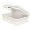 Fizzii Farm byGraziela Lunch Box with Fruit / Vegetable Compartment,