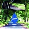 Little Trees Air Freshener, Traditional Fragrances, Pack of 3 (Packaging