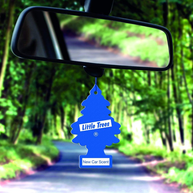 Little Trees Air Freshener, Traditional Fragrances, Pack of 3 (Packaging