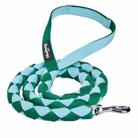 Blueberry Pet Iconic Double-Weave Handmade Dog Rope Leash, Sky Blue and Dark Green, 4 ft, Strong Leashes for Dogs