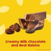 Raisinets, Milk Chocolate Covered California Raisins, Movie Theater Candy Box...