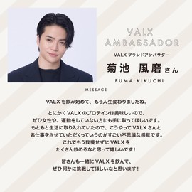 VALX バルクス ホエイ プロテイン 420g バナナ 風味 ホエイプロテイン WPC お試し 少量 ダイエット 山本義徳 監修 国内製造