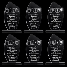 6 Pcs Employee Appreciation Awards for Coworker Acrylic Thank You Trophy May You Be Proud of The Work Do Sign Prizes for Adults Retirement Goodbye Farewell Gift for Women Men