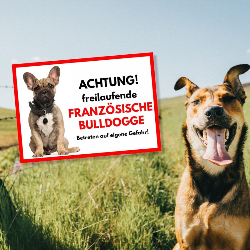 French Bulldog Free-Ranging Dog Sign Door Sign Dog Sign Warning