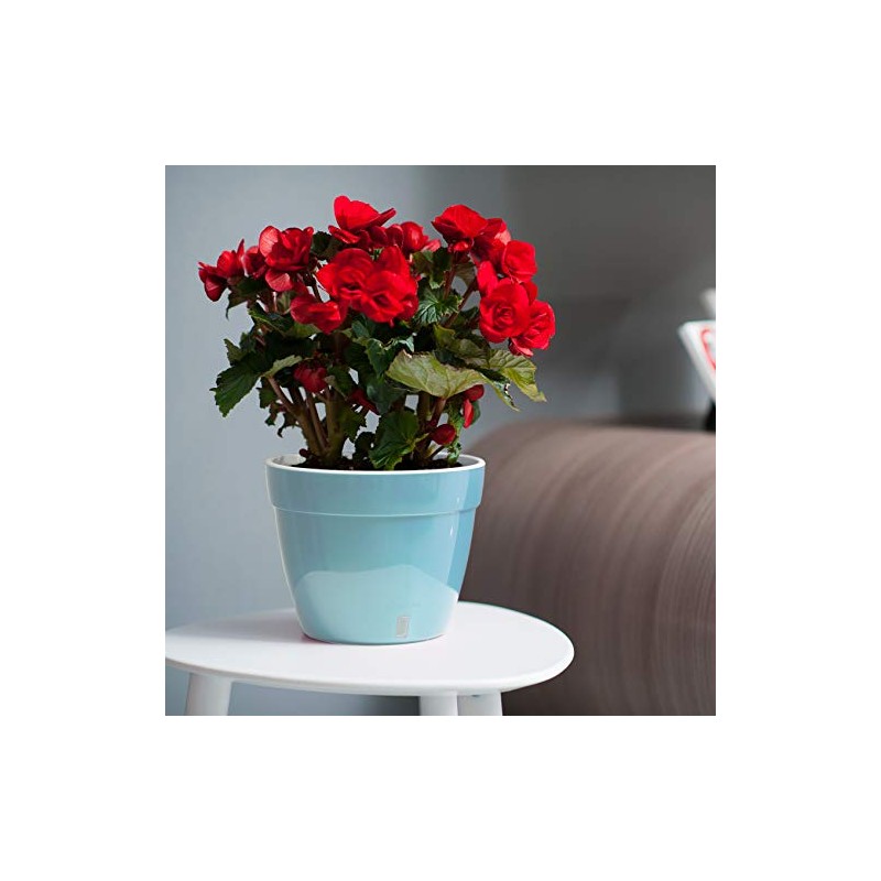 Maceta de autorriego Asti, Jardín, Mentol/Blanco, 7.9