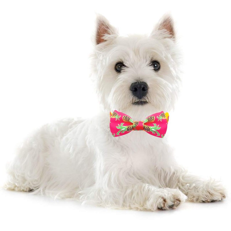 Azuza Bowtie Collar para perro, piña, Pineapple, M (Neck:14'' -