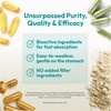 ANDREW LESSMAN PS 200 Phosphatidyl Serine 60 Capsules - Supports