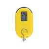 American Weigh AMW-SR-5 Digital HanGinG Scale, 11 by 0.01 LB,