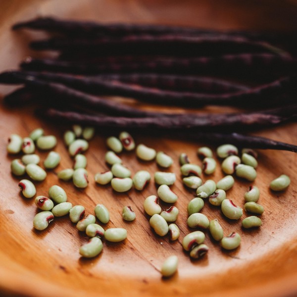 Pink-Eyed Purple Hull Cowpea - 4oz Bulk (~550 Seeds) -