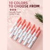 Juego De Brillos De Labios De Terciopelo Mate De 10