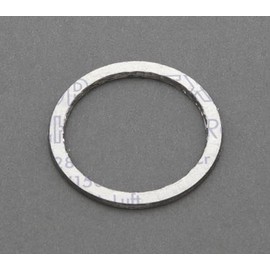 25A Union Gasket for Steam