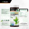 BIO KRAUTER Chlorophyll Gummies - 90 Chews - Chlorophyll Supplements