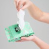 Crazy Color Hair Dye Remover Wipes