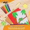 BIC Kids Visa Felt Pens - Assorted Colours, Wallet of