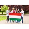 DANF Hungary Flag 3x5 Ft Hungarian National Flags Polyester with