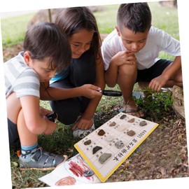 VILLFUL 12-Piece Mineral Rock Specimen Kit Ideal for Geology Classroom Display and Teaching