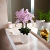 SANTINO Orchid Pot Diameter 12 cm Self-Watering Pot with Wick