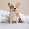Utopia Bedding Mattress Protector, 135 x 190 x 30 cm,
