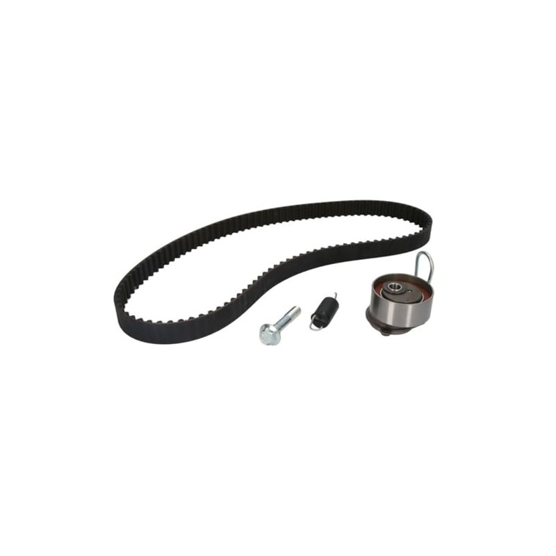 INA 530 0506 10 Timing Belt Set