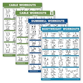 Palace Learning 4 Pack - Cable Machine Workout Posters Volume 1 & Volume 2 + Dumbbell Exercises + Bodyweight Exercises (LAMINATED, 18" x 24")