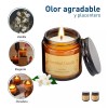 Bluelander 6 Velas Aromáticas Decorativas 100% Soya Aromaterapia 3.5oz