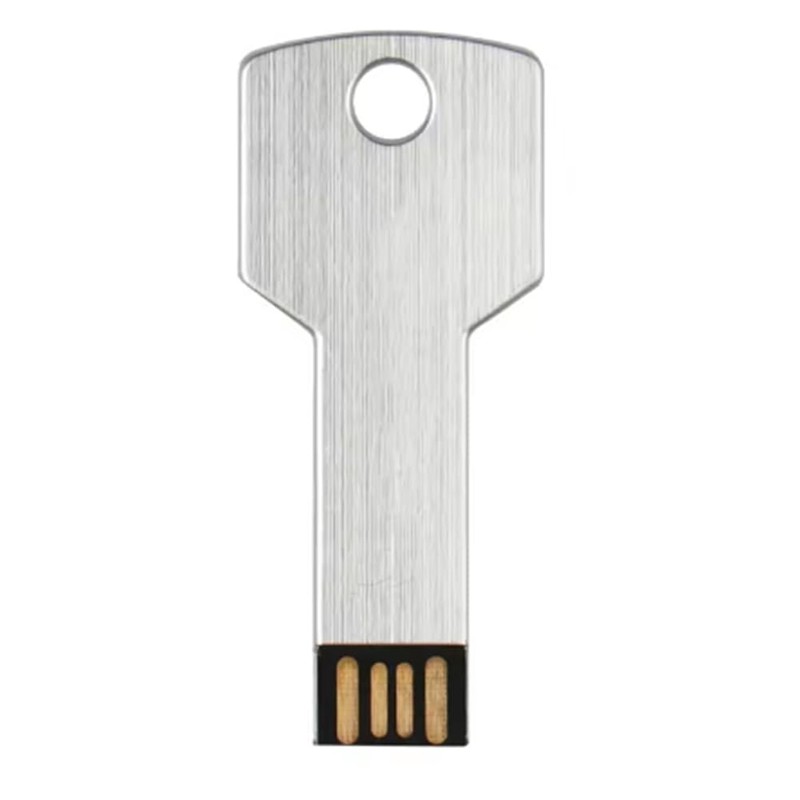 Snblzhef Metal USB Flash Drive, Key Shaped, 32GB Silver -