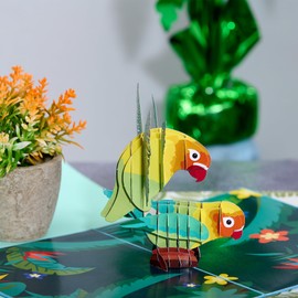 Funny Anniversary Card | Pop Up Colorful Love Birds Get Naughty on 1st Wedding Anniversary | Sleazy Anniversary Card for Wife, Husband | Dating I Love You Card for Boyfriend, Girlfriend