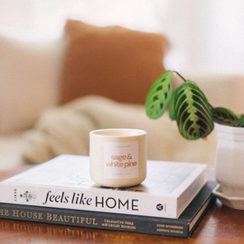 River Birch Candles Sage + White Pine Scented Ceramic Candle | Premium, All-Natural, Non-Toxic, Soy Candles | 8oz 40 Hr Burn Time | Cozy Relaxing Gifts for Home