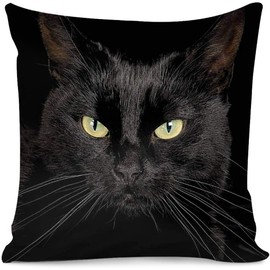 ZFENGYYUAN Stylish Decorative Throw Pillow Case Covers Bedroom Sofa Living Room Pillowcases Luxury Sofa Square 18”x 18” Funny Black Cat Pattern