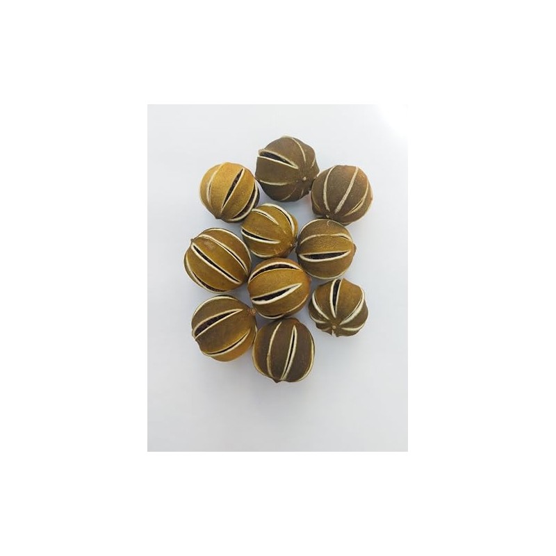 Dried Whole Green Limes, Fresh Citrus Scent, for Table Decorations,