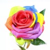 12 Stem Artificial Silk Color Rainbow Rose Flower Bush Bouquet