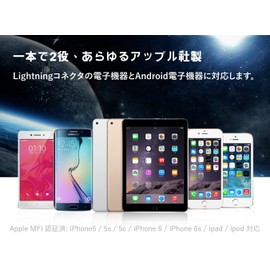 Verbatim Metallic Charge&Sync 2-in-1 Cable,Grey,Charge&Sync Cable 2-in-1 Micro+Lightning