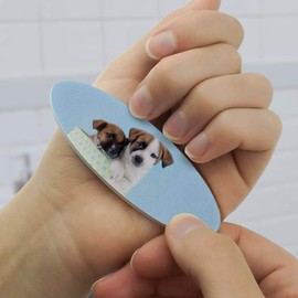 Jack Russell Terrier Puppies Dogs Gift Box Double-Sided Oval Nail File Emery Board Set 4 Pack