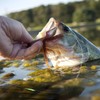 YOTO Bobber Stops for Fishing,Float Bobber Stops String Knots&Fishing Glow