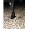 Home's Place Steel Stem Bed Frame Feet to Replace Wheels.