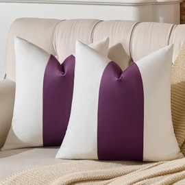 AmHoo Pack of 2 Velvet Panel Cotton Pillow Covers Decorative Pillowcase Cushion for Couch Sofa Bedroom 18 x 18-Inch Dark Purple