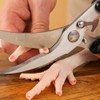 Limeow Poultry Scissors, Sharp Poultry Scissors, Kitchen Scissors, Stainless Steel,