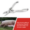 Cunyuer Piglet Teeth Cutter, 14cm Stainless Steel Pig Tooth Nipper
