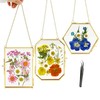 Simaixing 3Pcs Pressed Flower Frame with Chain, Small Gold Floating