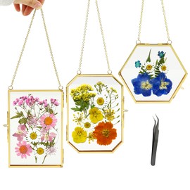 Simaixing 3Pcs Pressed Flower Frame with Chain, Small Gold Floating Frame with Tweezers, 3 Shapes Double Glass Frame for Pressed Flowers Plants, Hanging Frames for DIY Decor Photo Display (Gold)