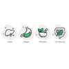 Hepa ALTAI DTX Balance - Liver Protection, Visceral Belly Fat,